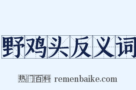野鸡头反义词是什么意思的图片